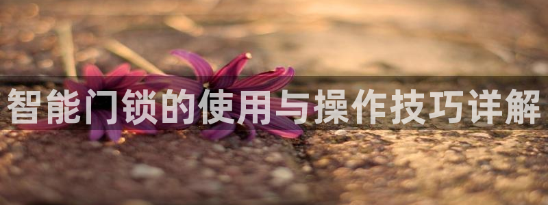 开丰娱乐违法吗：智能门锁的使用与操作技巧详解