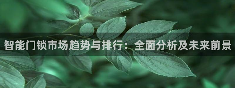 开丰娱乐平台提现失败：智能门锁市场趋势与排行：全面分析及未来