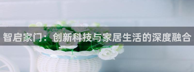 开丰娱乐月：智启家门：创新科技与家居生活的深度融合