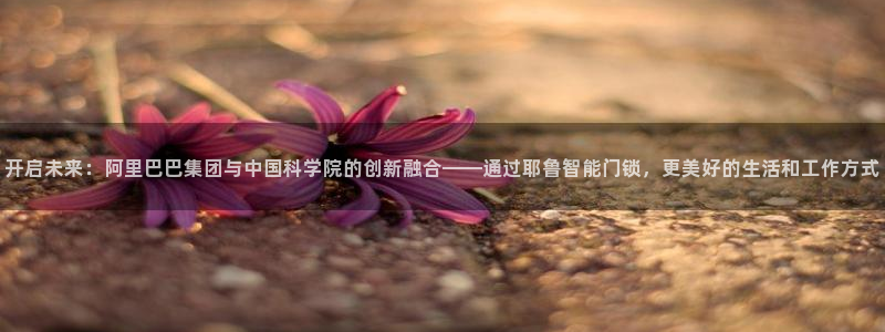 开丰娱乐更多平台：开启未来：阿里巴巴集团与中国科学院的创新融