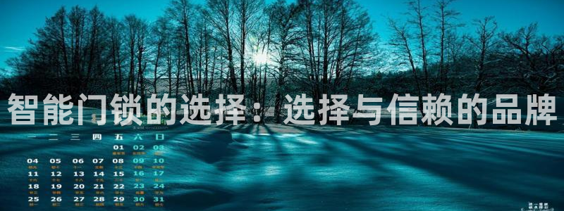 开丰娱乐登入地址在哪儿：智能门锁的选择：选择与信赖的品牌