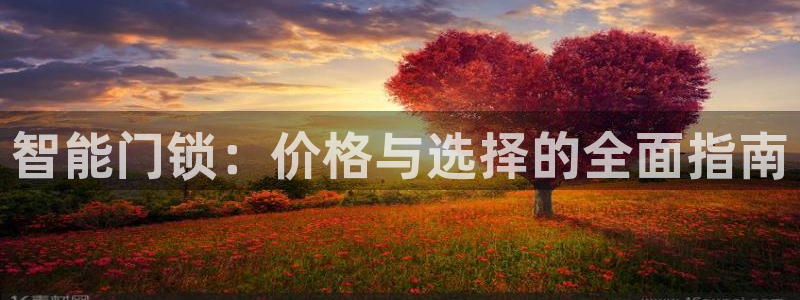 开丰娱乐乙833_43：智能门锁：价格与选择的全面指南
