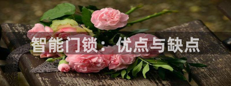 开丰娱乐注册登录：智能门锁：优点与缺点