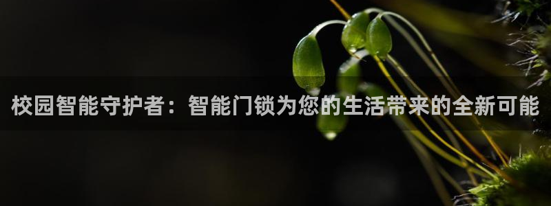 开丰娱乐体育平台：校园智能守护者：智能门锁为您的生活带来的全