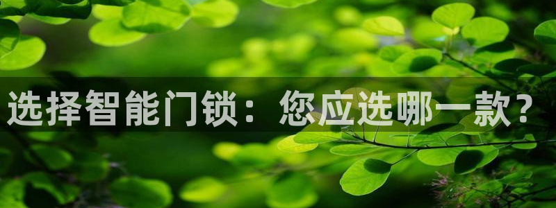 开丰娱乐登录网址：选择智能门锁：您应选哪一款？
