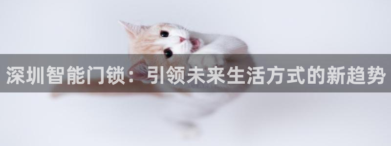 圩丰刚开的娱乐场所：深圳智能门锁：引领未来生活方式的新趋势