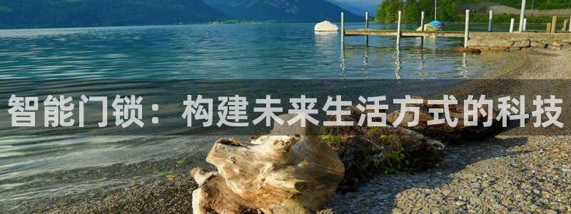 开丰娱乐平台注册：智能门锁：构建未来生活方式的科技