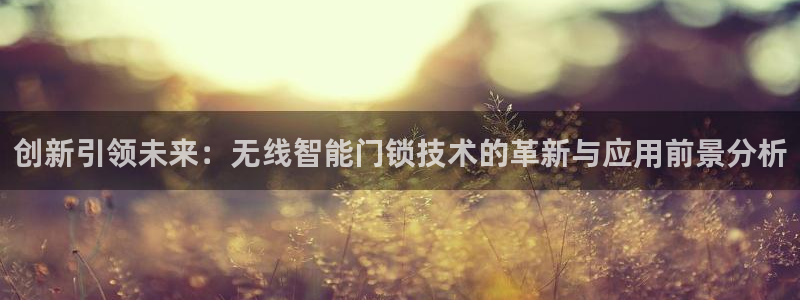 开丰娱乐官网平台下载：创新引领未来：无线智能门锁技术的革新与