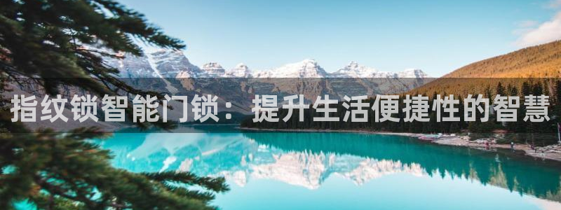 开丰娱乐平台地址在哪里：指纹锁智能门锁：提升生活便捷性的智慧