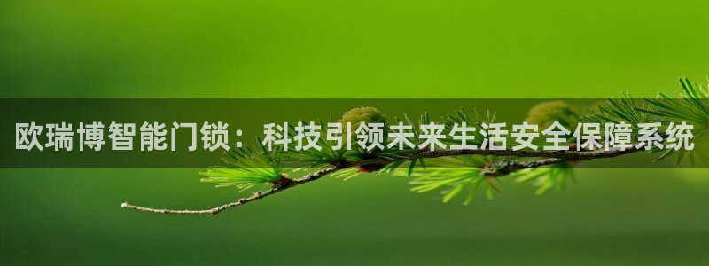 开丰娱乐地址查询：欧瑞博智能门锁：科技引领未来生活安全保障系