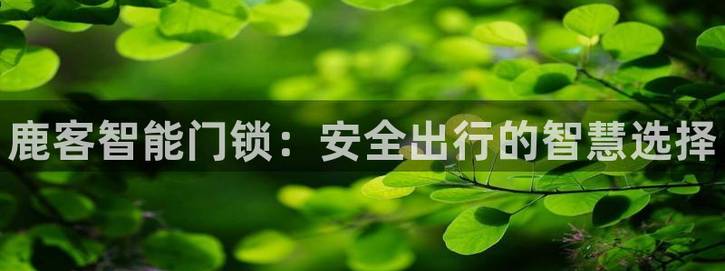 开丰娱乐平台注册地址：鹿客智能门锁：安全出行的智慧选择