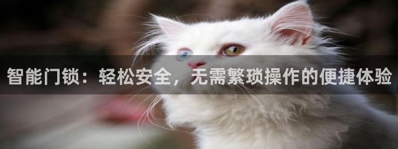 开丰娱乐67 5138：智能门锁：轻松安全，无需繁琐操作的便