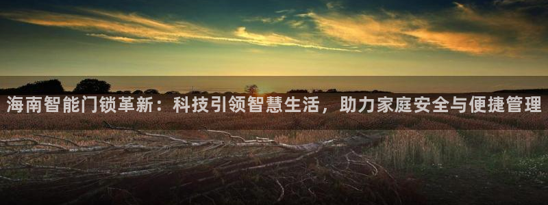 开丰娱乐咋7O777：海南智能门锁革新：科技引领智慧生活，助