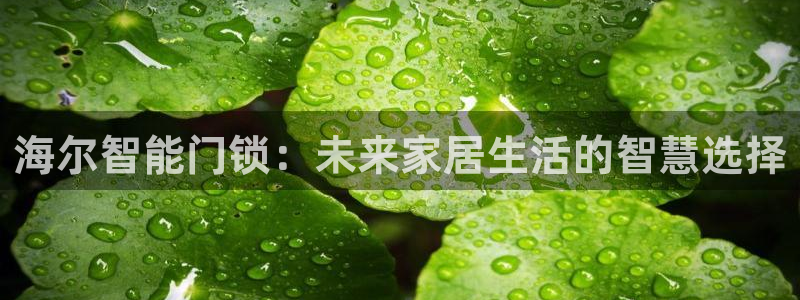 如何注册开丰娱乐账号：海尔智能门锁：未来家居生活的智慧选择