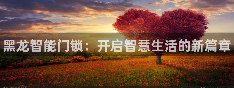 开丰娱乐官网电话：黑龙智能门锁：开启智慧生活的新篇章