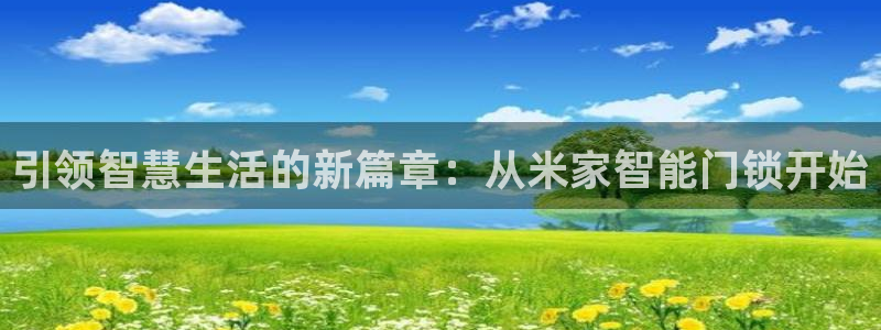 开丰娱乐日：引领智慧生活的新篇章：从米家智能门锁开始