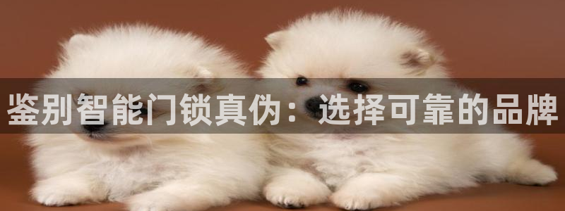 开丰娱乐67 5138：鉴别智能门锁真伪：选择可靠的品牌