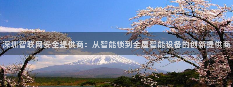 开丰娱乐登录平台：深圳智联网安全提供商：从智能锁到全屋智能设