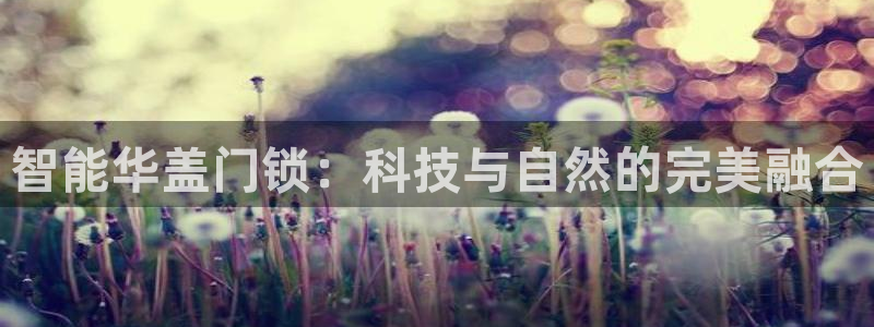 开丰娱乐网站官网入口