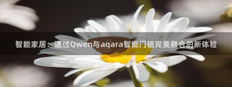 开丰娱乐怎么开转点：智能家居：通过Qwen与aqara智能门