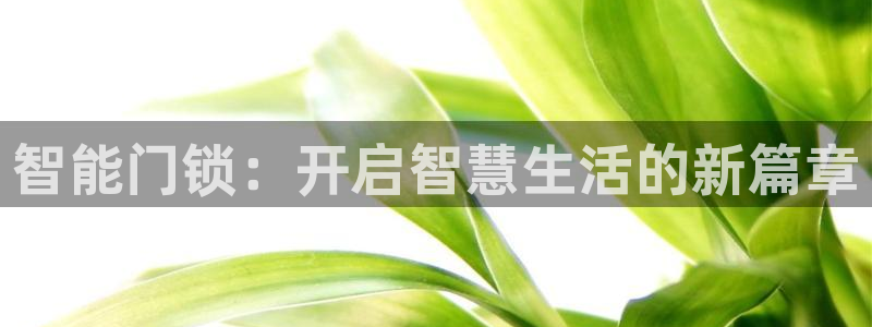 开丰娱乐平台官网网址