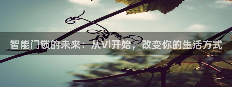 开丰娱乐左：智能门锁的未来：从Vi开始，改变你的生活方式