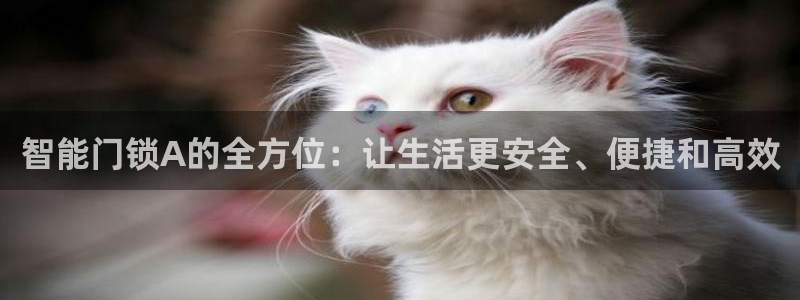 开丰娱乐登陆地址：智能门锁A的全方位：让生活更安全、便捷和高