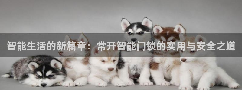 开丰娱乐登入地址查询：智能生活的新篇章：常开智能门锁的实用与