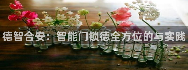 开丰娱乐官方app：德智合安：智能门锁德全方位的与实践