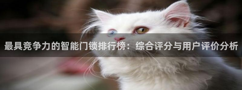 开丰娱乐违法吗：最具竞争力的智能门锁排行榜：综合评分与用户评