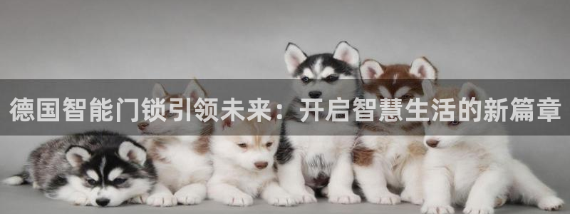 开丰娱乐乙833_43：德国智能门锁引领未来：开启智慧生活的