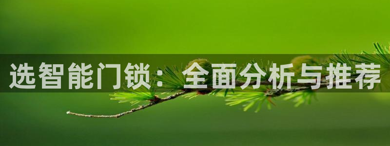开丰娱乐官网最新消息：选智能门锁：全面分析与推荐