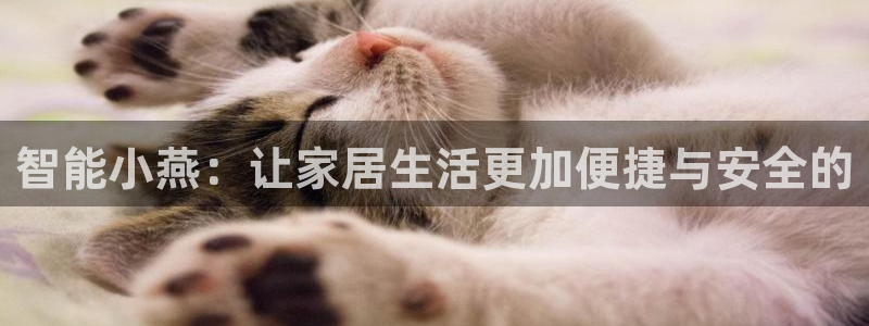 开丰娱乐网站官网：智能小燕：让家居生活更加便捷与安全的