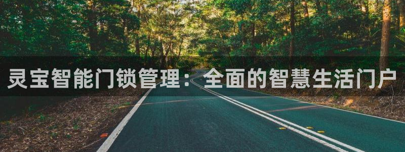 开丰娱乐不开了吗：灵宝智能门锁管理：全面的智慧生活门户