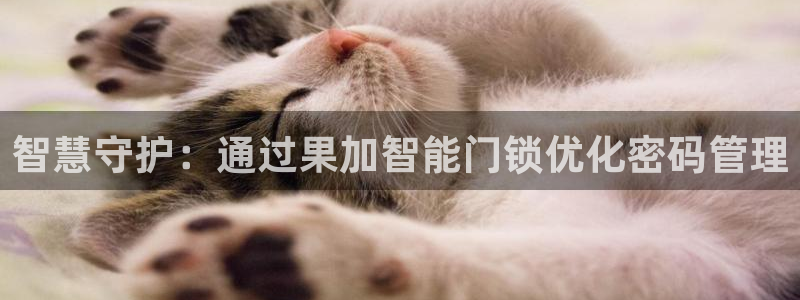 开丰娱乐登录：智慧守护：通过果加智能门锁优化密码管理