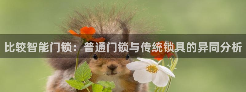 开丰娱乐 赢咖一：比较智能门锁：普通门锁与传统锁具的异同分析