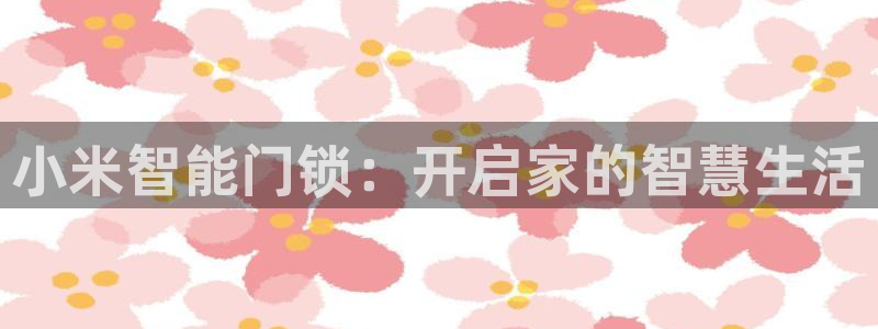 开丰娱乐体育平台：小米智能门锁：开启家的智慧生活