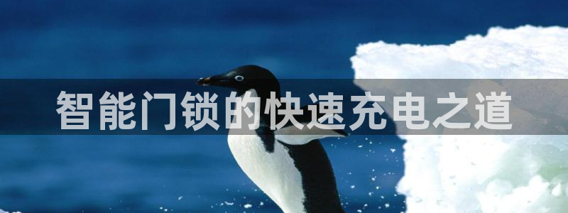 开丰娱乐网址：智能门锁的快速充电之道