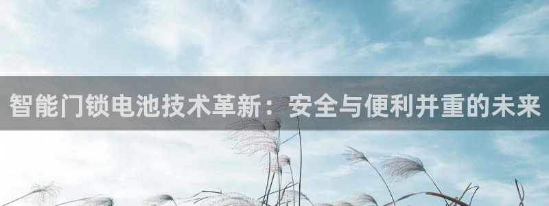 开丰娱乐官网首页：智能门锁电池技术革新：安全与便利并重的未来