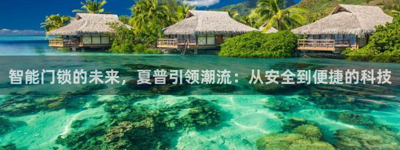 开丰娱乐下载安装：智能门锁的未来，夏普引领潮流：从安全到便捷