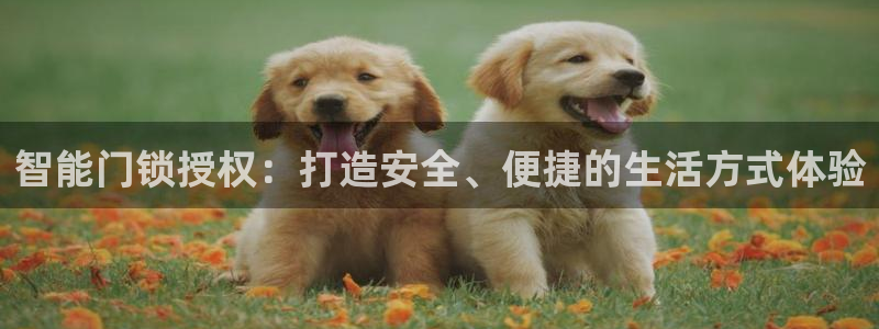开丰娱乐注册自判官333OO：智能门锁授权：打造安全、便捷的