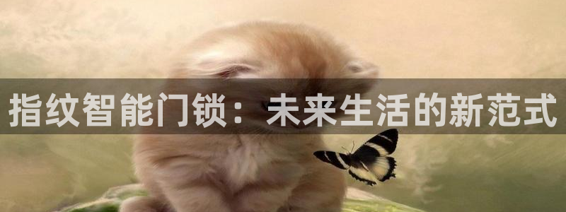 开丰娱乐咋7O777：指纹智能门锁：未来生活的新范式
