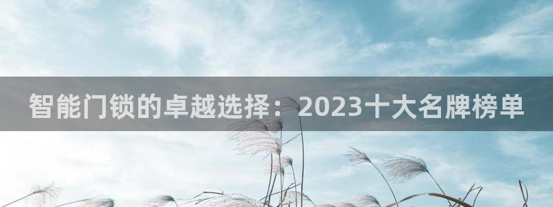 开丰娱乐官网平台电话：智能门锁的卓越选择：2023十大名牌榜