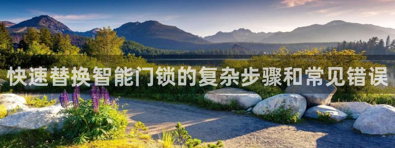 开丰娱乐月：快速替换智能门锁的复杂步骤和常见错误
