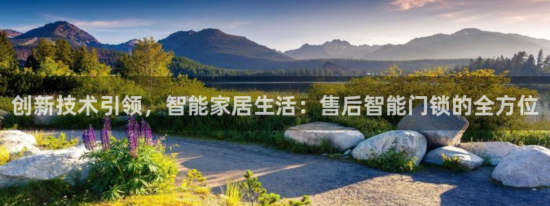 开丰娱乐登入地址在哪：创新技术引领，智能家居生活：售后智能门