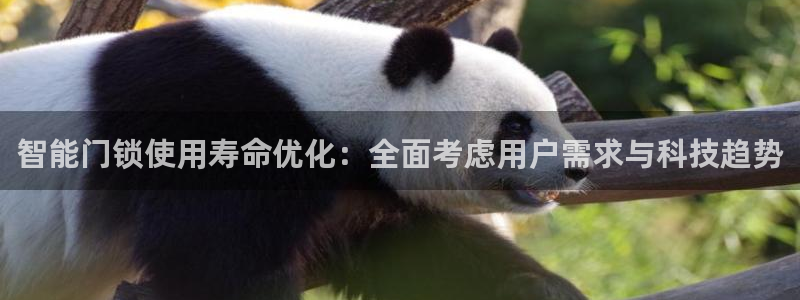 开丰娱乐注册系究耍333OO：智能门锁使用寿命优化：全面考虑