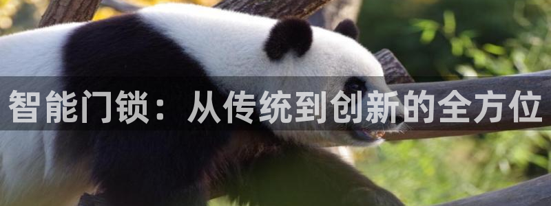开丰娱乐更多平台：智能门锁：从传统到创新的全方位