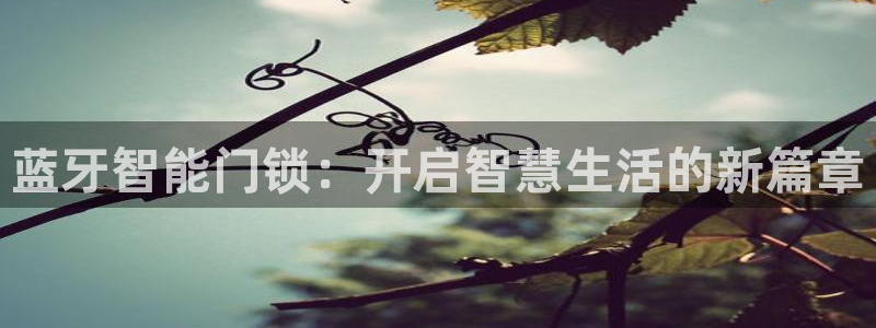 开丰娱乐科技：蓝牙智能门锁：开启智慧生活的新篇章