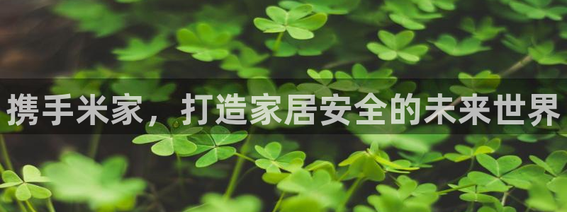开丰娱乐上7O667：携手米家，打造家居安全的未来世界