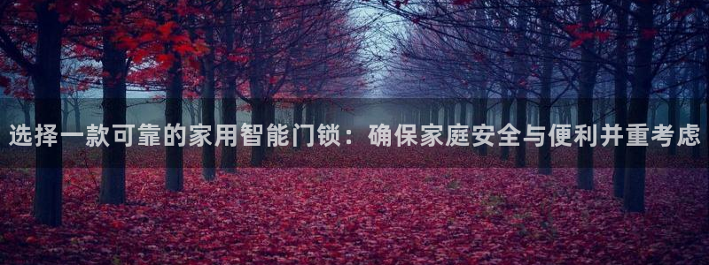 开丰娱乐趣 7O935：选择一款可靠的家用智能门锁：确保家庭